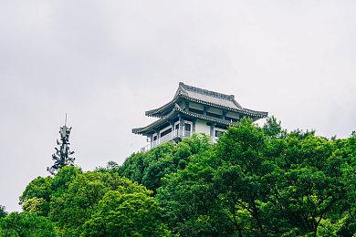 官方服软 《吸血鬼：避世血族2》本体包含所有氏族